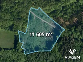 Prodej podílu lesa, Janová, 5802 m2