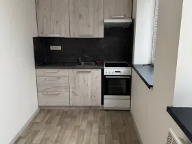 Pronájem bytu 1+1, Opava - Předměstí, Rybářská, 26 m2