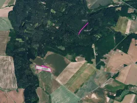 Prodej pole, Džbánice, 11072 m2