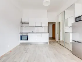 Pronájem bytu 1+kk, Praha - Karlín, Sokolovská, 28 m2