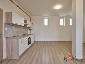 Pronájem bytu 1+kk, Mlékojedy, 43 m2