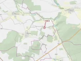 Dražba lesa, Osek, 301 m2