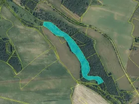 Dražba pozemku, Prostiboř, 26187 m2