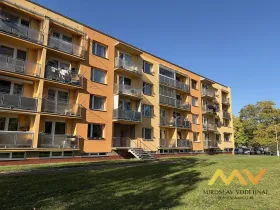 Prodej bytu 1+1, Hradec Králové - Pražské Předměstí, Jungmannova, 41 m2
