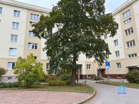 Pronájem bytu 1+1, Plzeň - Východní Předměstí, Spojovací, 35 m2