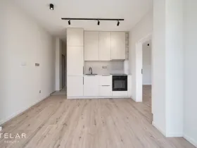 Prodej bytu 2+kk, Opava, Mostní, 40 m2