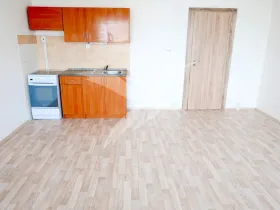 Pronájem bytu 1+kk, Plzeň, Toužimská, 31 m2