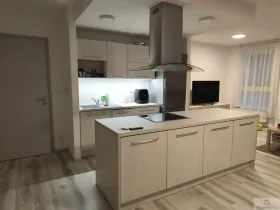 Pronájem bytu 2+kk, Olomouc, Eduarda Hamburgera, 76 m2