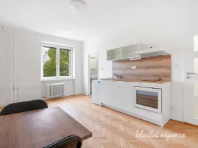 Pronájem bytu 1+kk, Praha - Žižkov, Pod lipami, 20 m2