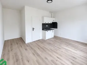 Pronájem bytu 1+kk, Praha - Libeň, Na Truhlářce, 27 m2