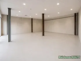 Pronájem obchodního prostoru, Praha - Strašnice, V olšinách, 154 m2