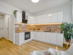 Pronájem bytu 1+1, Ústí nad Labem - Krásné Březno, Rozcestí, 41 m2