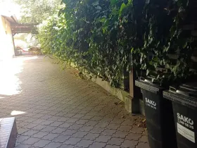Pronájem obchodního prostoru, Brno, Minská, 150 m2