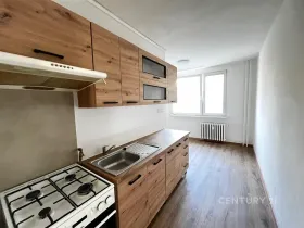 Pronájem bytu 2+1, Jirkov, Generála Svobody, 58 m2