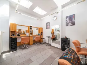 Pronájem obchodního prostoru, Plzeň, Bezručova, 55 m2