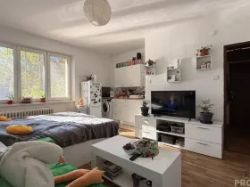 Prodej bytu 1+kk, Havířov, Karolíny Světlé, 22 m2