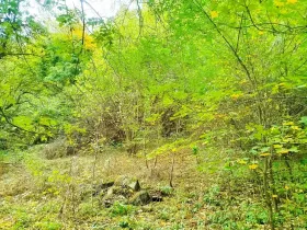 Prodej pozemku pro bydlení, Jílové u Prahy, 881 m2