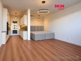 Pronájem bytu 1+kk, Praha, Ocelářská, 39 m2