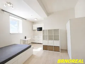 Pronájem bytu 1+kk, Brno, Vodní, 20 m2