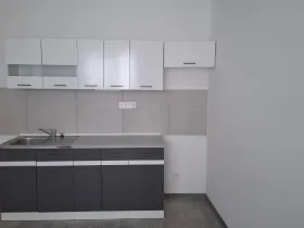 Pronájem bytu 2+kk, Pardubice - Zelené Předměstí, Milheimova, 54 m2