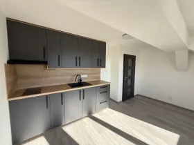 Prodej bytu 1+kk, Plzeň, Rokycanská, 27 m2