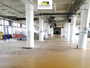 Pronájem skladu, Břeclav, Mládežnická, 973 m2