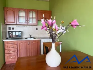 Prodej bytu 1+kk, Bohumín, Svat. Čecha, 28 m2