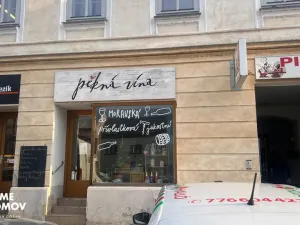 Pronájem obchodního prostoru, Napajedla, 65 m2