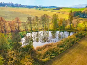 Prodej rybníku, Týnec, 2713 m2