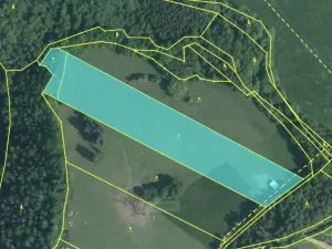 Prodej louky, Kamenný Újezd - Rančice, 15973 m2