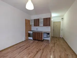 Pronájem bytu 1+1, Litvínov - Horní Litvínov, Tylova, 36 m2