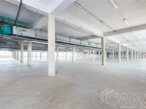 Pronájem skladu, Písek - Budějovické Předměstí, U Vodárny, 4000 m2