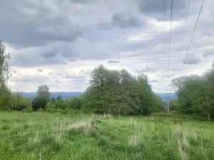 Prodej pozemku, Liberec - Liberec XXIII-Doubí, Malodoubská, 9589 m2