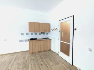 Pronájem bytu 1+kk, Litvínov - Horní Litvínov, Koldům, 32 m2