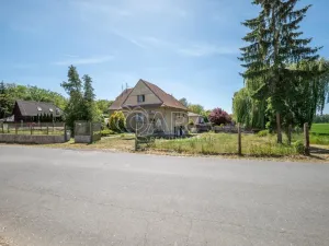 Prodej rodinného domu, Kropáčova Vrutice - Střížovice, 274 m2
