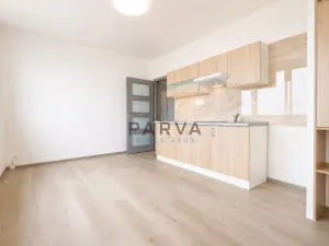 Prodej bytu 1+kk, Plzeň - Jižní Předměstí, U Borského parku, 21 m2