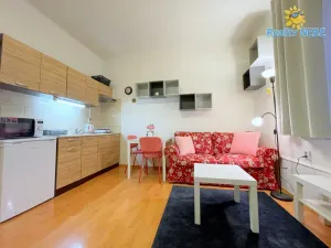 Pronájem bytu 1+kk, Praha - Michle, Na úlehli, 25 m2