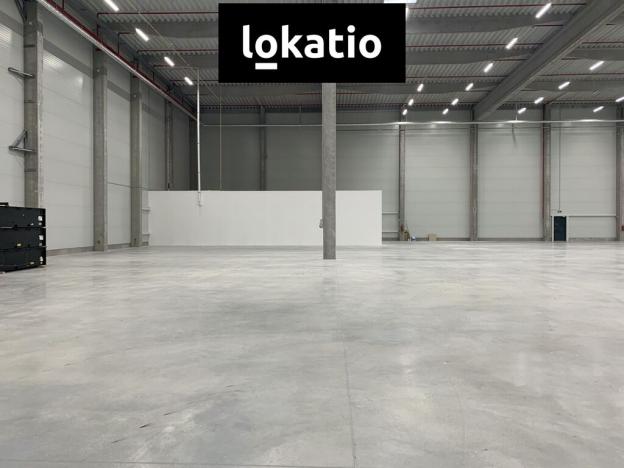 Pronájem skladu, Vejprnice, Tyršova, 7000 m2