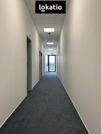 Pronájem skladu, Vejprnice, Tyršova, 7000 m2