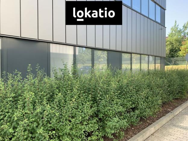 Pronájem skladu, Vejprnice, Tyršova, 7000 m2