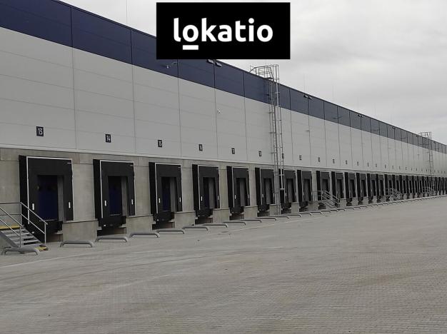 Pronájem skladu, Jirkov, 4300 m2