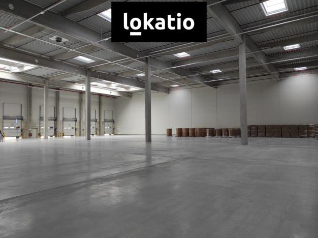 Pronájem skladu, Jirkov, 4300 m2