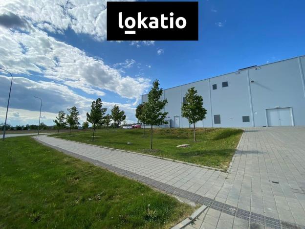 Pronájem skladu, Lipník nad Bečvou - Lipník nad Bečvou I-Město, 2613 m2