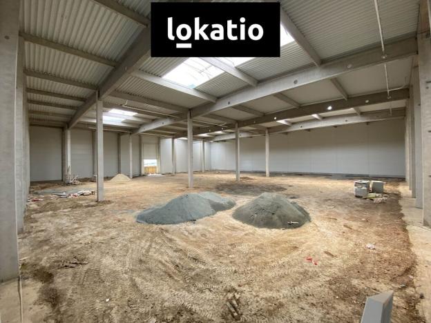 Pronájem skladu, Holubice, 3078 m2