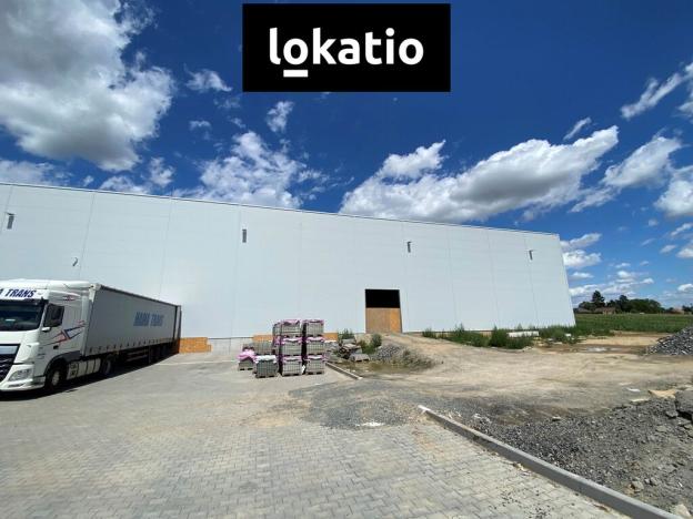 Pronájem skladu, Holubice, 3078 m2