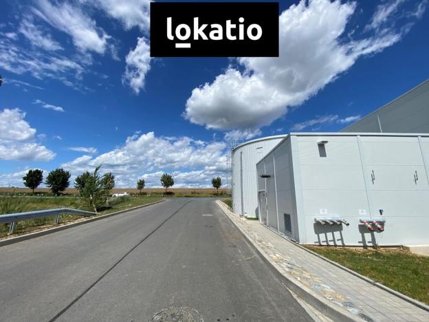 Pronájem skladu, Holubice, 3078 m2