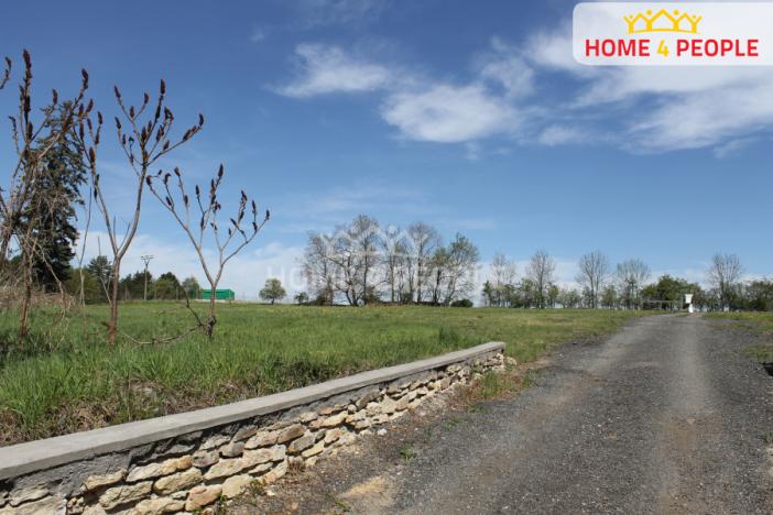 Pronájem komerční nemovitosti, Třebovle, 43662 m2