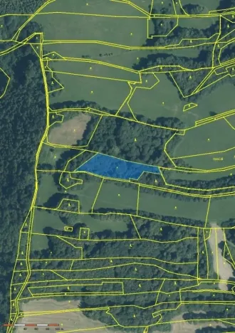 Prodej lesa, Nový Jičín - Straník, 3916 m2