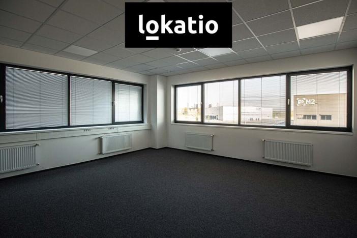 Pronájem skladu, Ostrava - Vítkovice, 29524 m2