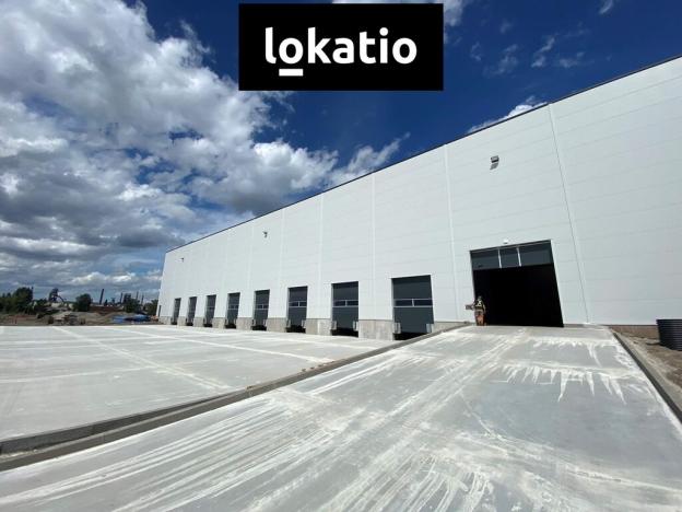 Pronájem skladu, Ostrava - Vítkovice, 1310 m2